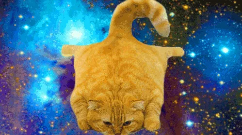 7 Estratégias Eficazes para Alimentar Gatos Exigentes e Seletivos