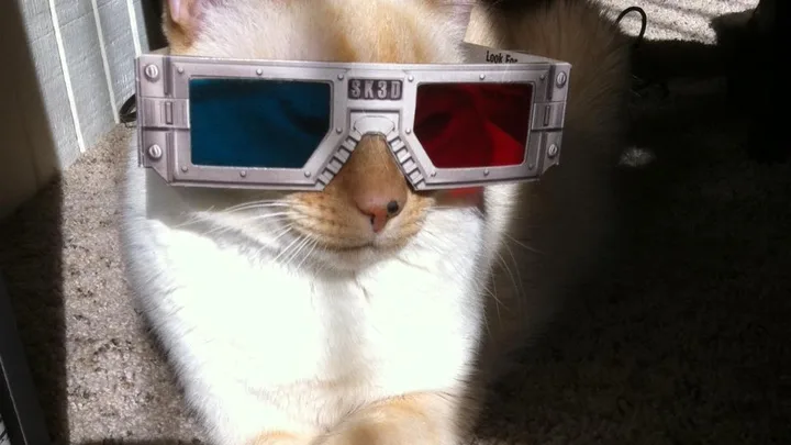 Mitos e Verdades sobre a Castração de Gatos: O Que Realmente Muda?